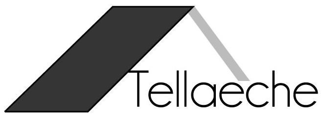 Logo Tellaeche Consultores