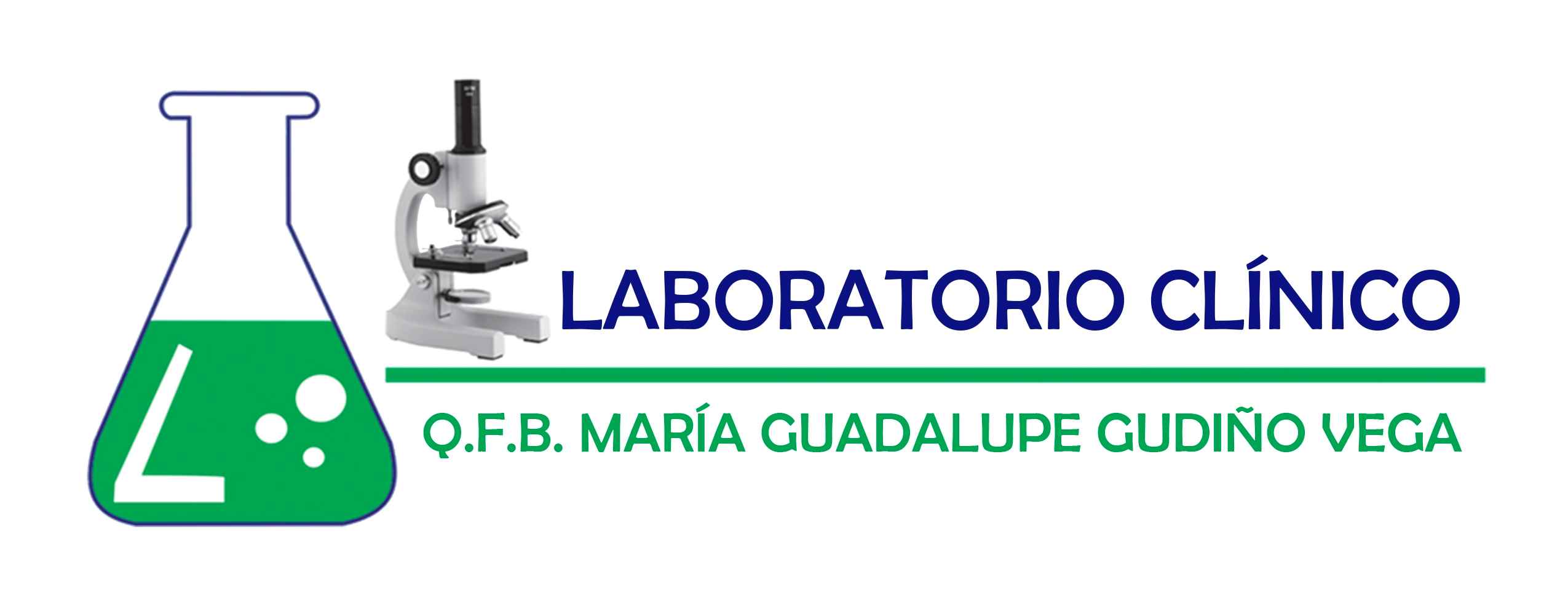 Logo MARIA GUADALUPE GUDIÑO VEGA