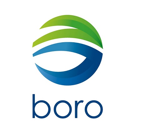 Logo Corporativo Boro