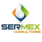 Logo Integración estratégica de sistemas de información S.A. de C.V.