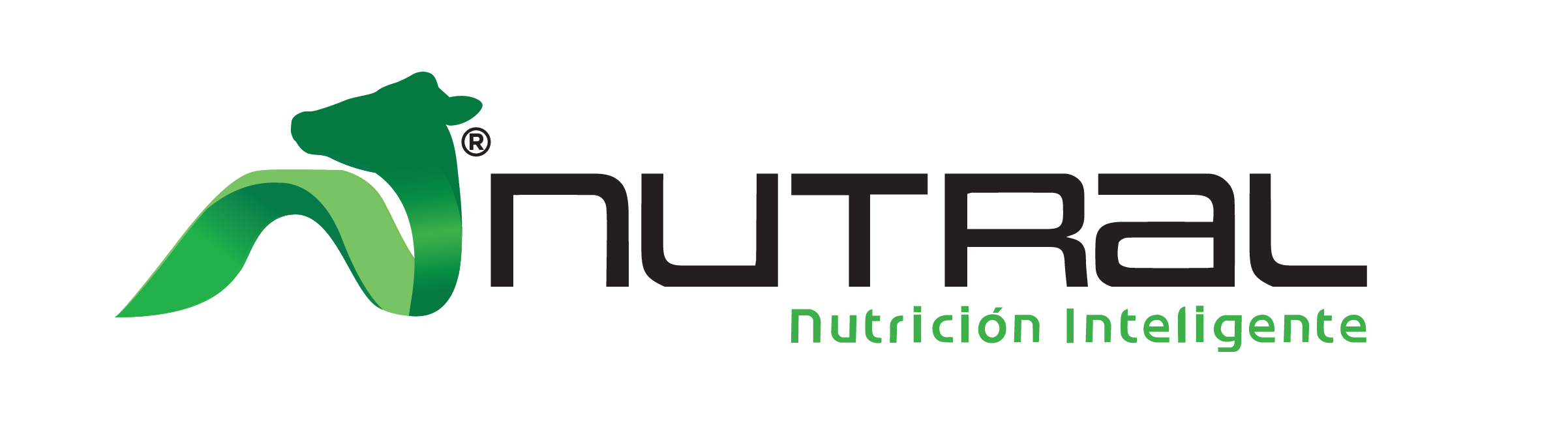 Logo Nutrimentos de los Altos S.A de C.V.