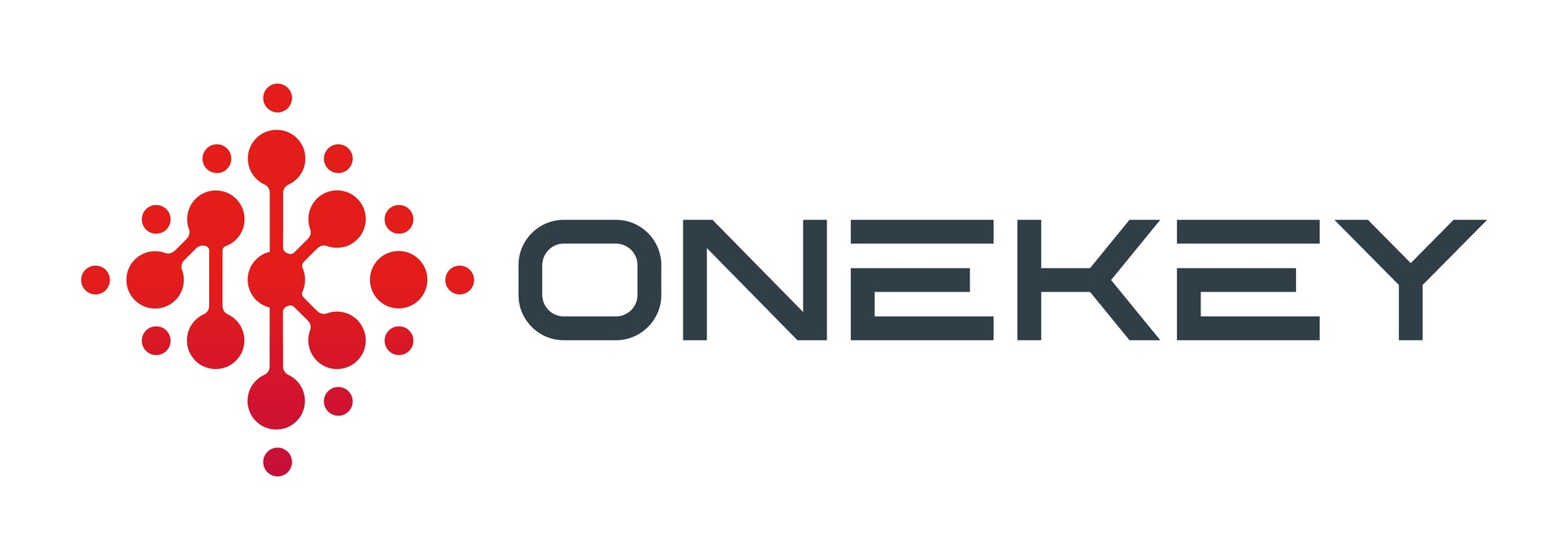 Logo One Key Systems SA de CV