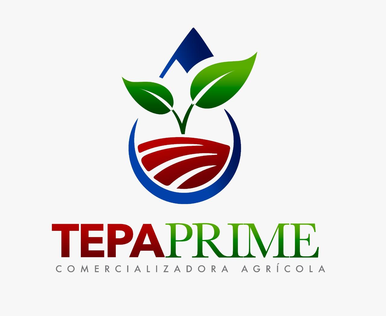 Logo COMERCIALIZADORA AGRICOLA TEPAPRIME