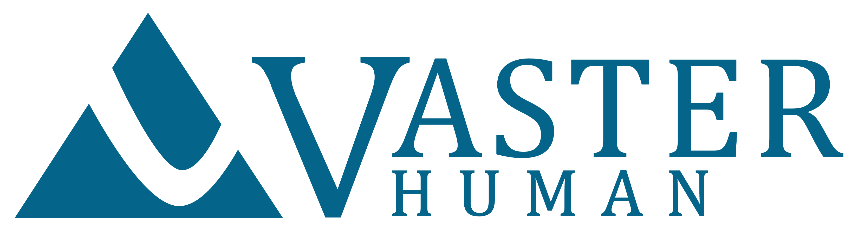 Logo Vaster Human, S.C.