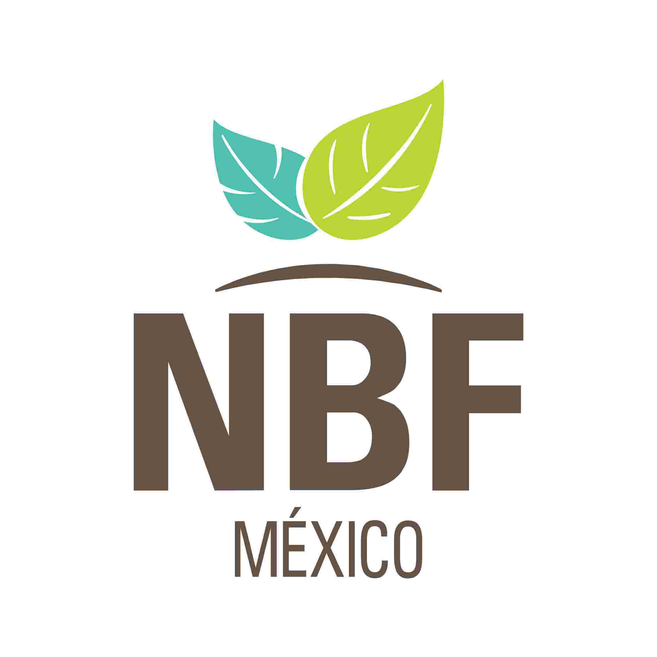 Logo NB FOODS